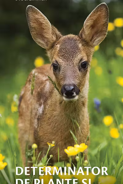Determinator de plante și animale