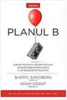 Introspectiv. PLANUL B.