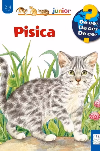 Pisica