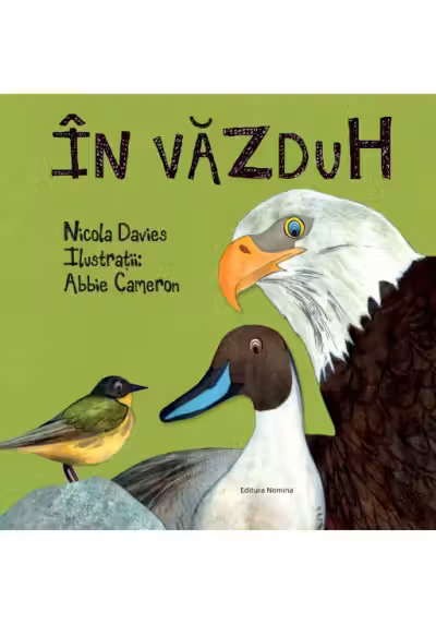 In vazduh
