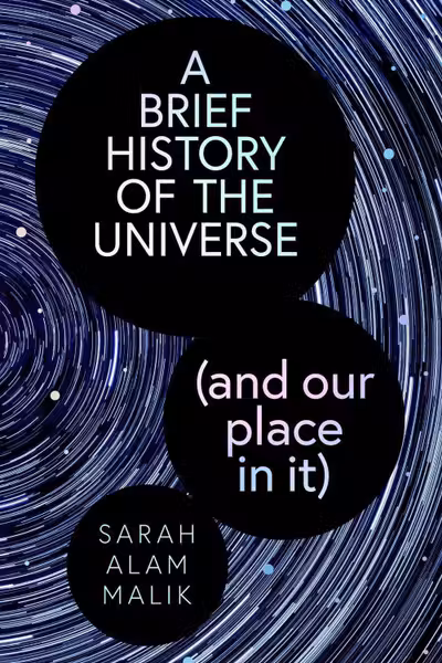 A Brief History of the Universe
