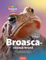 Broasca-raioasa-bruna. Enciclopedie pentru copii