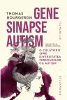 Gene, sinapse, autism