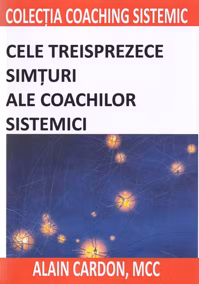 Cele treisprezece simțuri ale coachilor sistemici