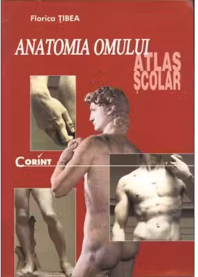 Anatomia omului - Atlas Școlar