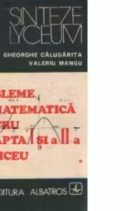Probleme de matematica pentru treapta I si a-II-a de liceu, Volumul I