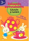 Balonase autocolante - Gaseste si numara