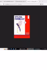 Stiloul Fermecat. Caiet de scriere pentru clasa I