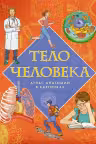 Тело человека. Атлас анатомии в картинках