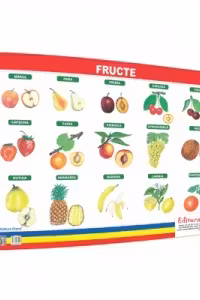 Fructe - plansa 50x70 - Proiecte Tematice