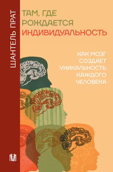 Там где рождается индивидуальность. Как мозг создает уникальность каждого человека