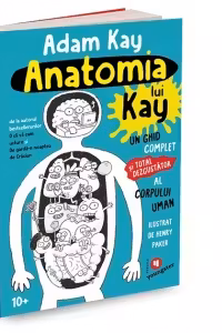 Anatomia lui Kay