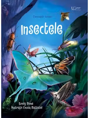 Insectele (Usborne)