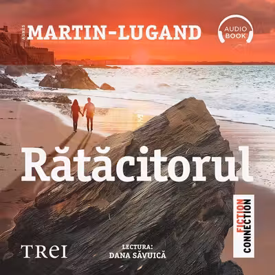 Rătăcitorul (audiobook)