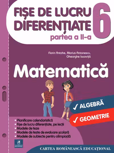 Matematică - Clasa 6. Partea 2 - Fișe de lucru diferențiate