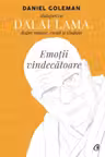 Emotii vindecatoare