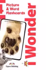 Curs de limba engleza 1 Wonder 4. Picture and Word Flashcards - Jenny Dooley, Bob Obee