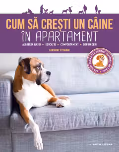 CUM SA CRESTI UN CAINE IN APARTAMENT