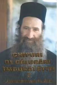 Chipuri de calugari imbunatatiti, volumul 2
