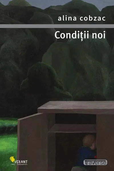Conditii noi