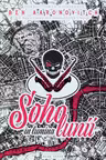 Soho in lumina lunii