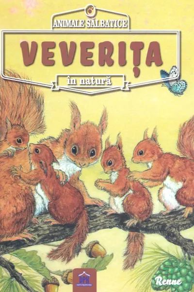 Animale sălbatice în natură: Veverița