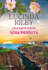 Sora pierduta
