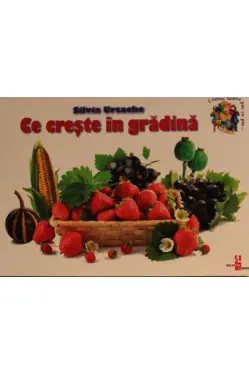 Cunosc lumea pas cu pas. Ce creste in gradina