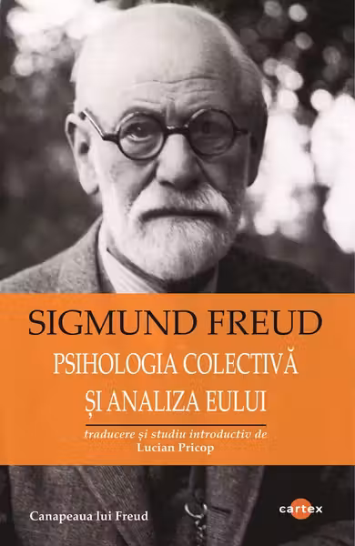 Psihologia colectiva si analiza Eului