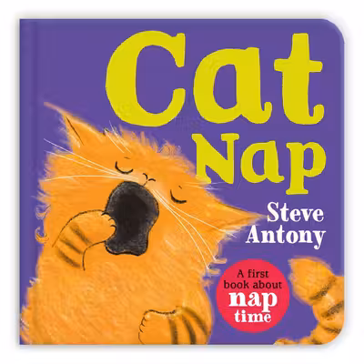 Cat Nap