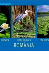 Romania. Delta Dunarii (romana, engleza, franceza)
