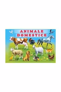 Animale domestice. Carte cu 100 de abtibilduri﻿