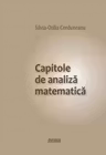 Capitole de analiza matematica