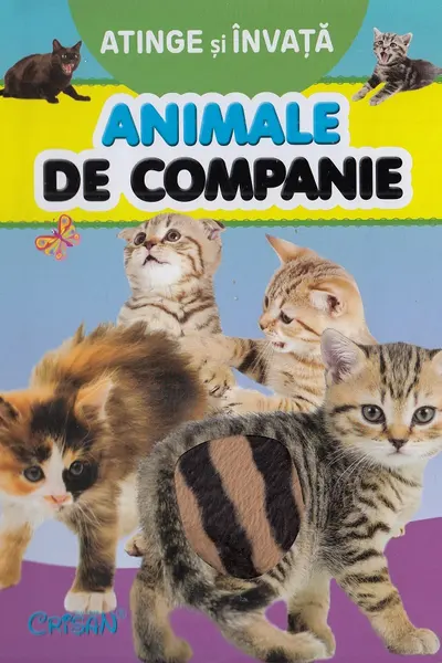 Atinge și învață. Animale de companie