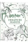 Harry Potter. Creaturi magice
