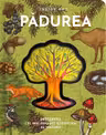 Padurea – model 3D
