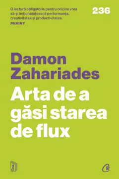 Arta de a gasi starea de flux