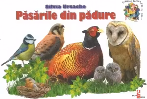 Cunosc lumea. Pasarile din paduri