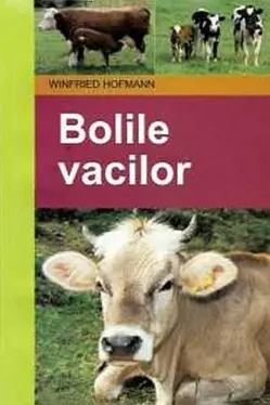 Bolile vacilor