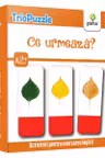 Ce urmeaza?