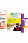 Pachet Bacalaureat Limba si literatura romana Subiectul 1 si 2, Logica si Istorie - Oana Valeria Chelaru, Marilena Bercea, Cecilia Ionescu