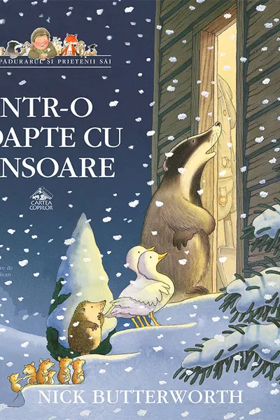Intr-o noapte cu ninsoare