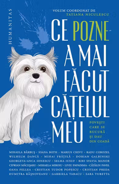 Ce pozne-a mai facut catelul meu