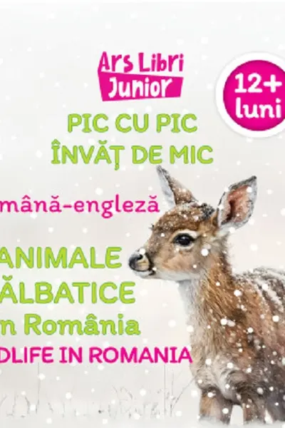 Pic cu pic învăț de mic - Animale sălbatice din România