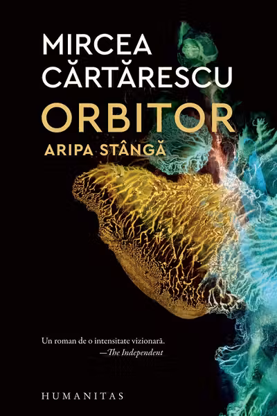 Orbitor. Aripa stanga