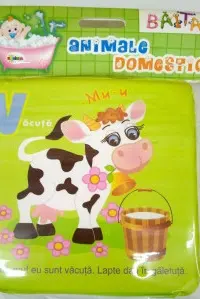 Lavabile. Animale domestice.