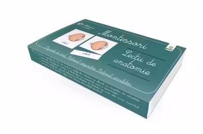 Lectii de anatomie. Organele de simt. Sistemul respirator. Sistemul circulator