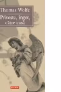 Priveste, inger, catre casa