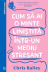 Cum sa ai o minte linistita intr-un mediu stresant