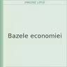 Bazele economiei